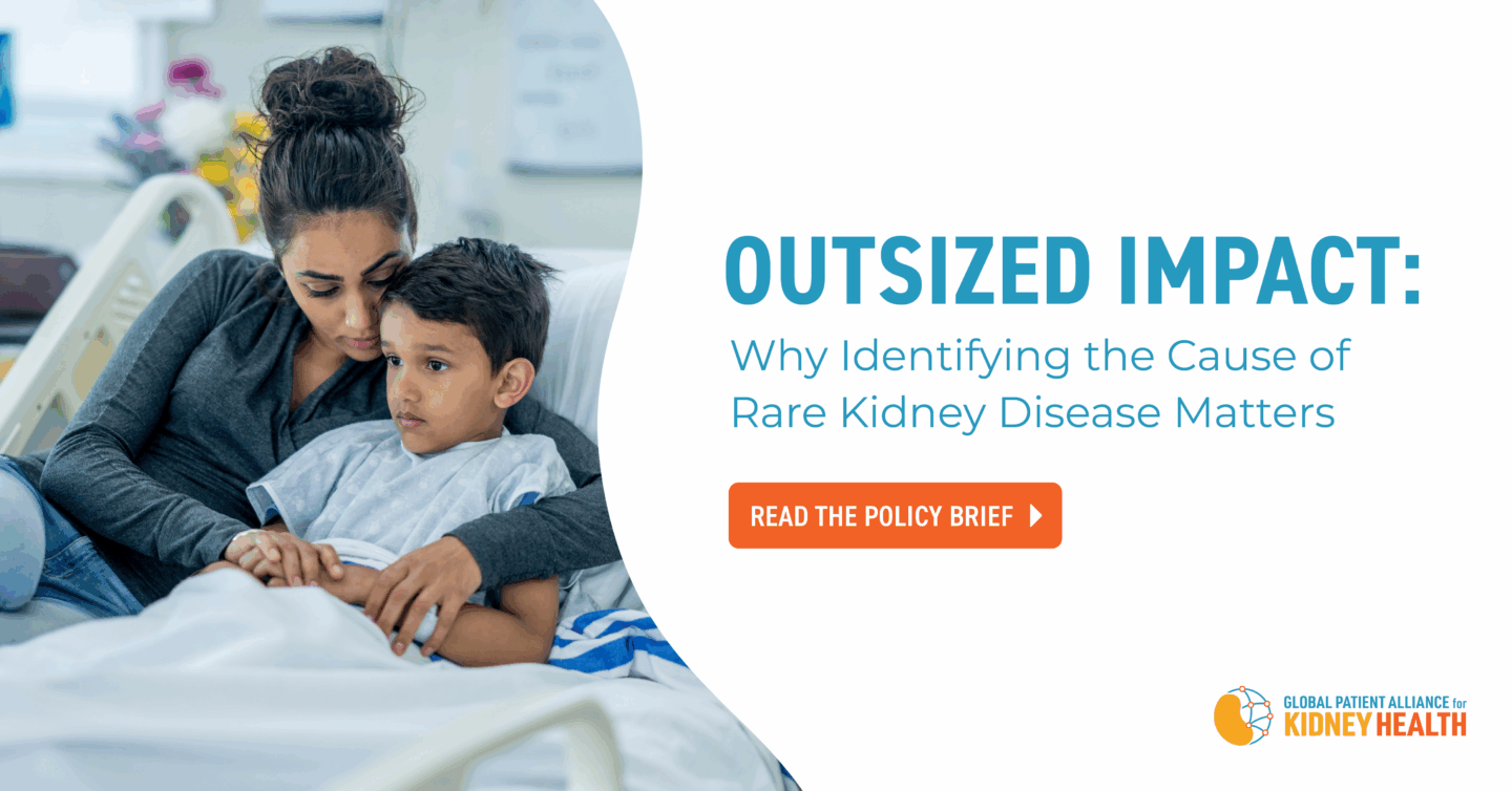 New Policy Brief Urges Policymakers to Prioritize Rare Kidney Diseases 