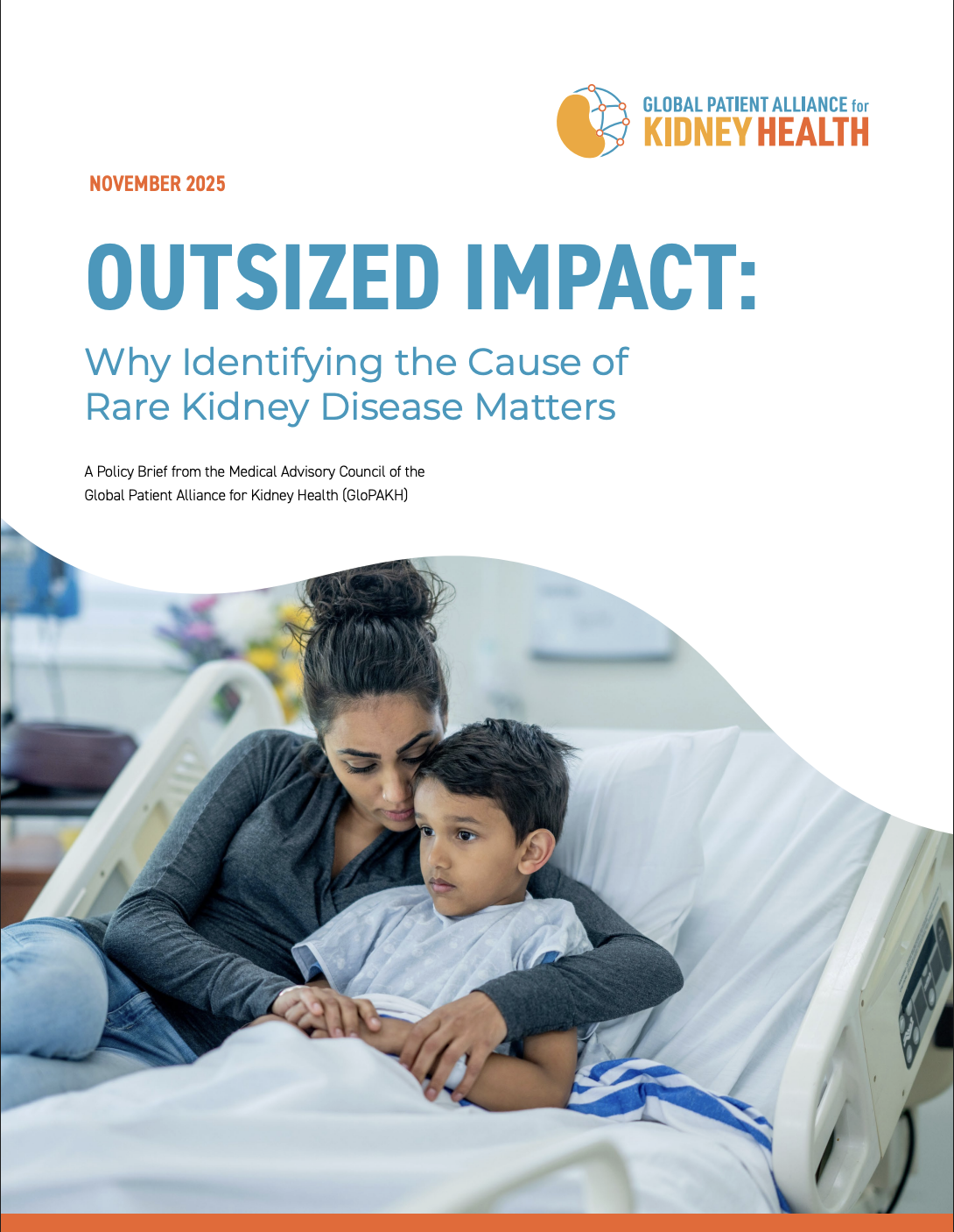 Outsized Impact: Why Identifying the Cause of Rare Kidney Disease Matters